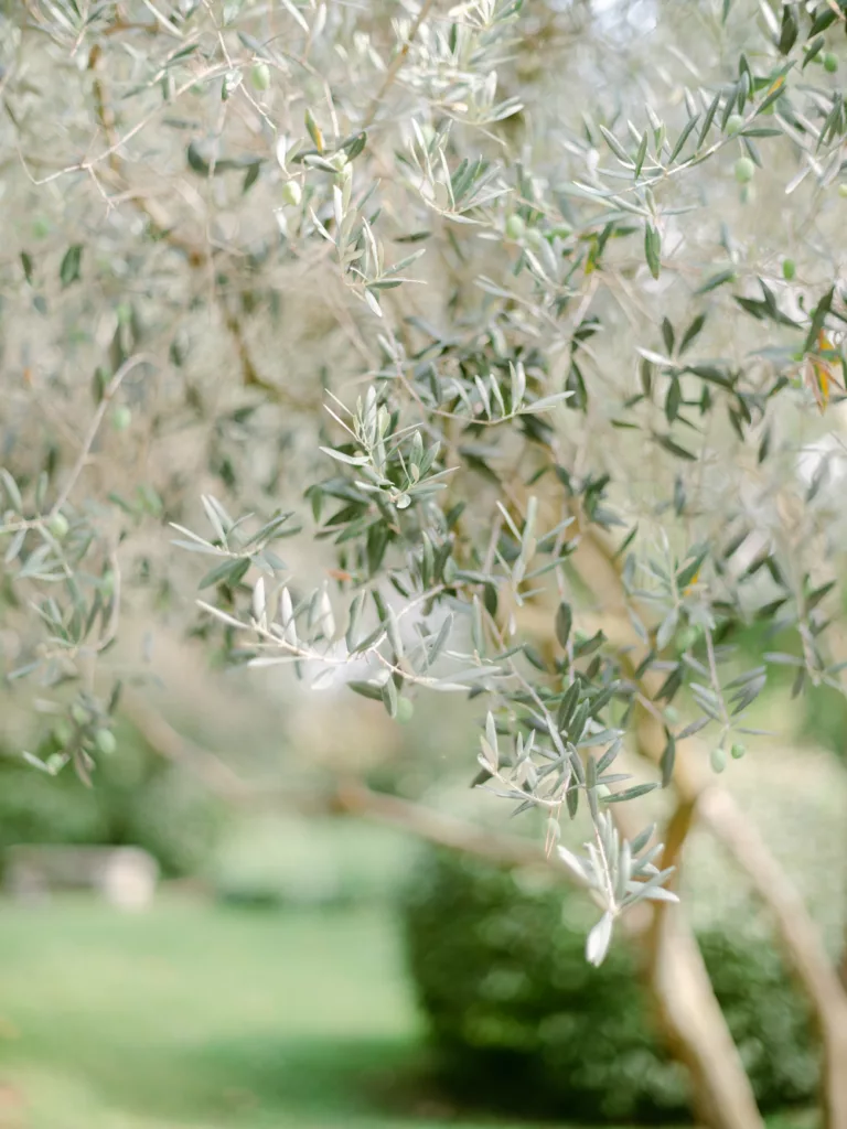 photographe mariage cote d'azur